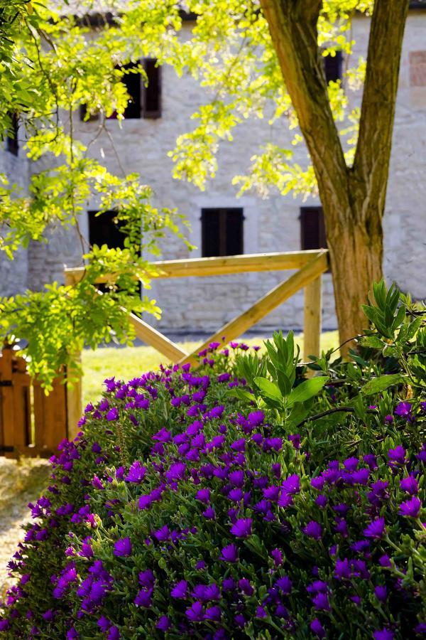 Castello Di Titignano Βίλα Ορβιέτο Εξωτερικό φωτογραφία